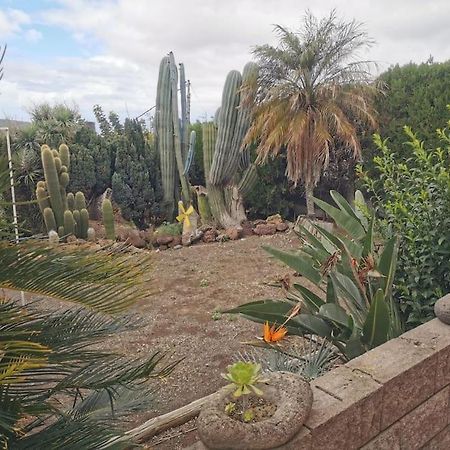 Los Cactus Санта Крус де Тенерифе Екстериор снимка