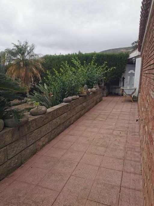 Los Cactus Санта Крус де Тенерифе Екстериор снимка