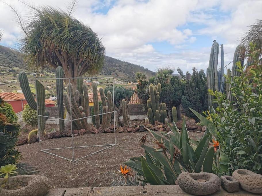 Los Cactus Санта Крус де Тенерифе Екстериор снимка
